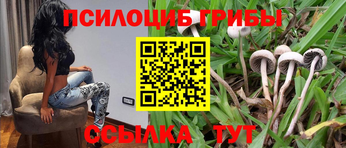 купить  цена  Галлюциногенные грибы Cubensis  Вход с VPN  Чехов  Галлюциногенные грибы ЛСД 