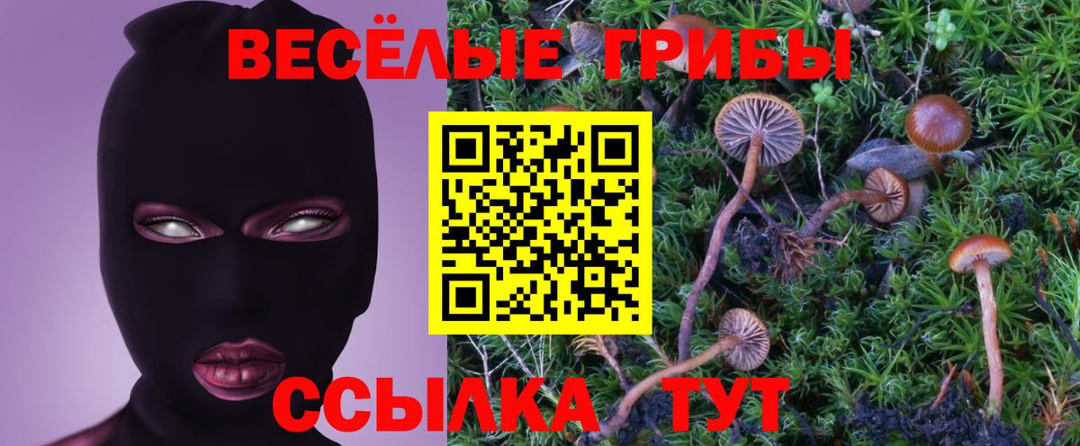 Псилоцибиновые грибы прущие грибы Чехов