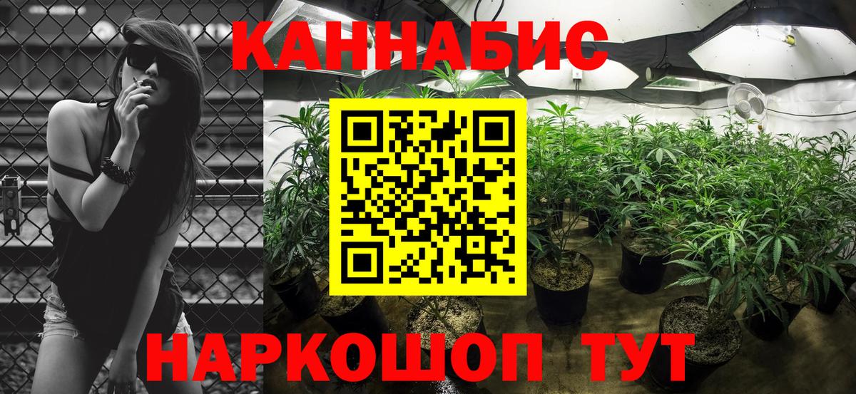 Бошки Шишки AK-47 Чехов